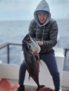 Tuna Fishing In California 